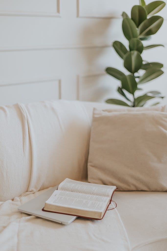 Open Bible resting on a beige couch with a houseplant in a calming, indoor setting.